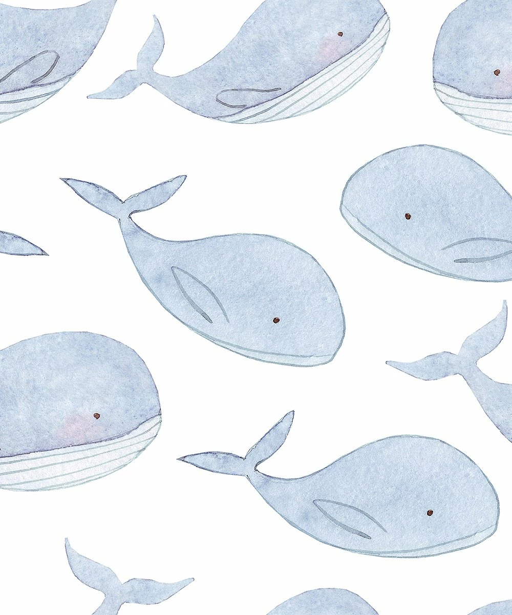 Top 10 π₯ Millie & Maxx White & Periwinkle Whales Swim Shorties - Infant & Boys For Kids 𧨠2 Top 10 π₯ Millie & Maxx White & Periwinkle Whales Swim Shorties - Infant & Boys For Kids 𧨠- Image 2