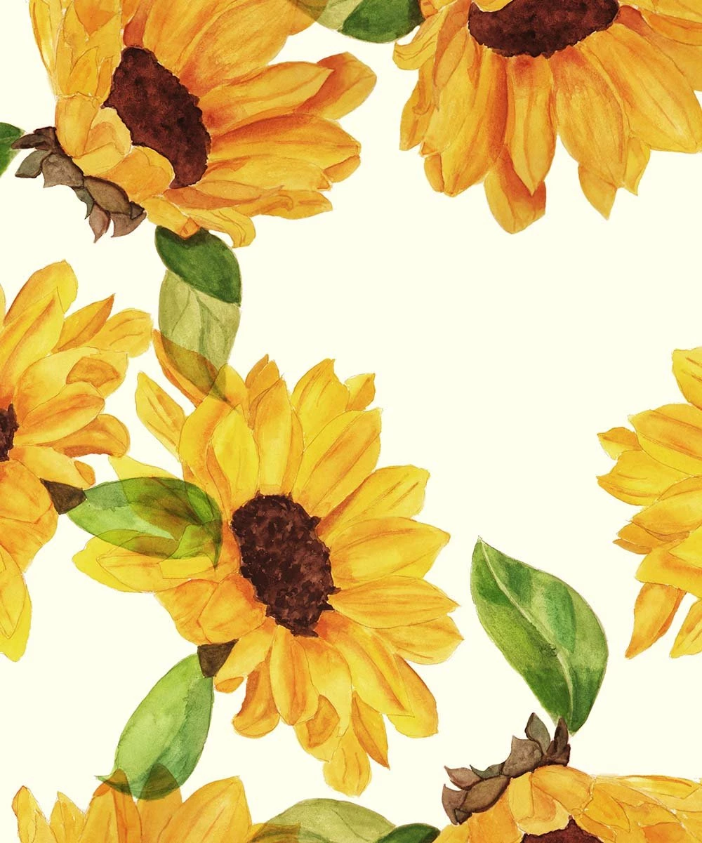 Top 10 π Millie Loves Lily Marigold Angel-Sleeve Babydoll Top & Sunflower Leggings - π§ Girls For Kids β 2 Top 10 π Millie Loves Lily Marigold Angel-Sleeve Babydoll Top & Sunflower Leggings - π§ Girls For Kids β - Image 2