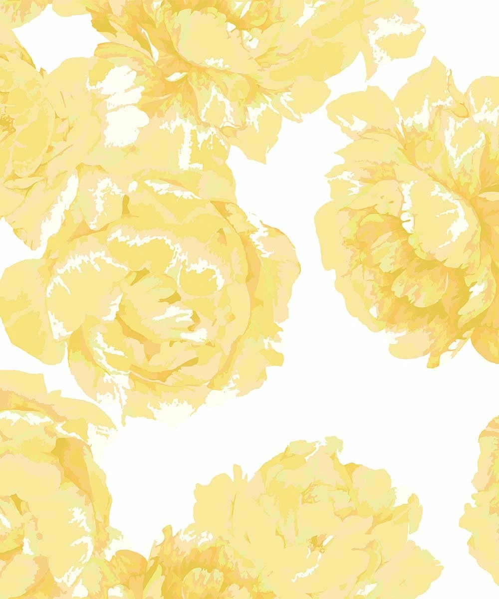 Wholesale 𧨠Little Millie White & Yellow Rose Ruffle-Accent Footie - Infant For Baby & Maternity π 2 Wholesale 𧨠Little Millie White & Yellow Rose Ruffle-Accent Footie - Infant For Baby & Maternity π - Image 2