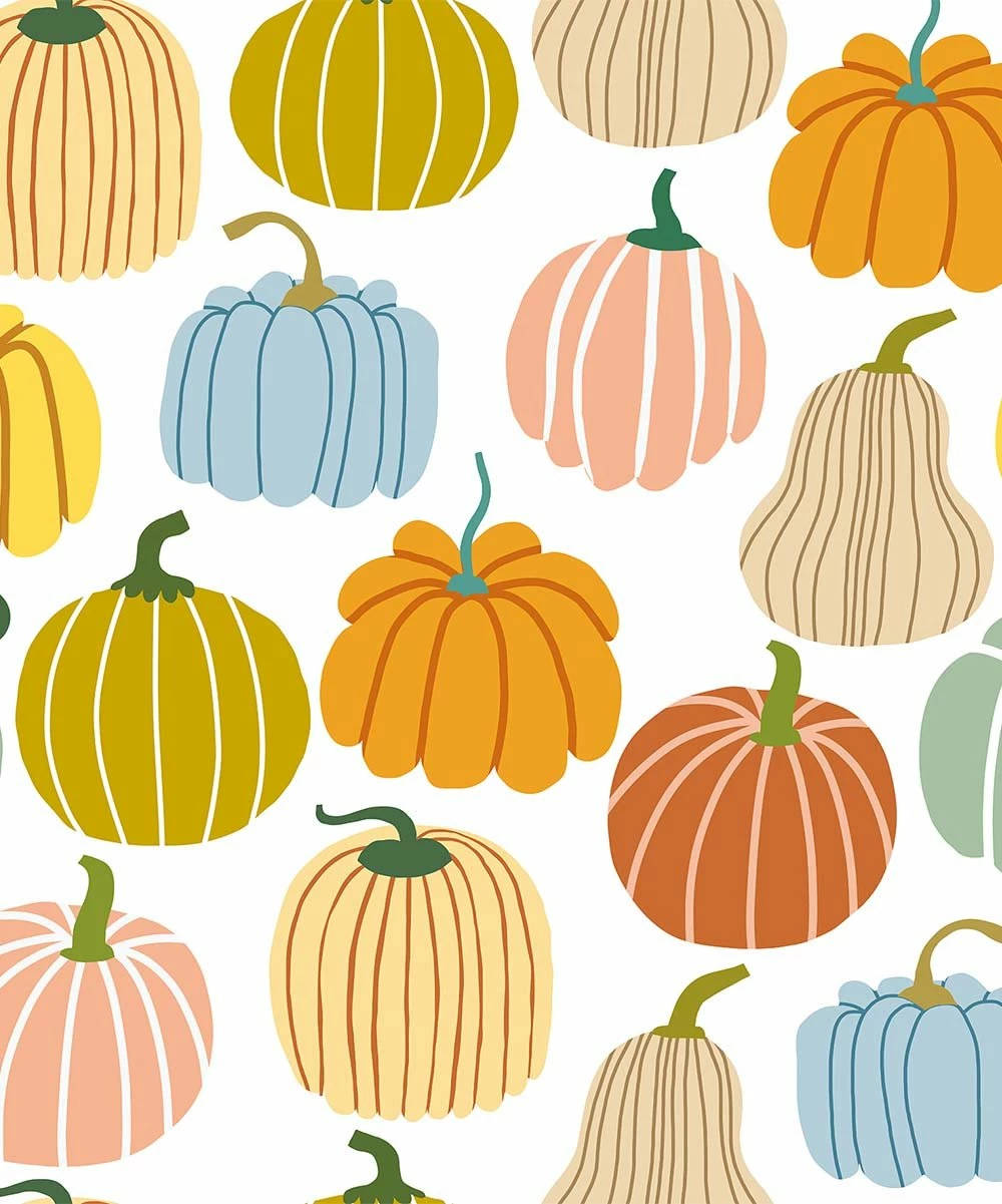 Outlet π Millie Loves Lily White Pumpkin Varieties Button-Up A-Line π Dress - π§ Girls For Kids π 2 Outlet π Millie Loves Lily White Pumpkin Varieties Button-Up A-Line π Dress - π§ Girls For Kids π - Image 2