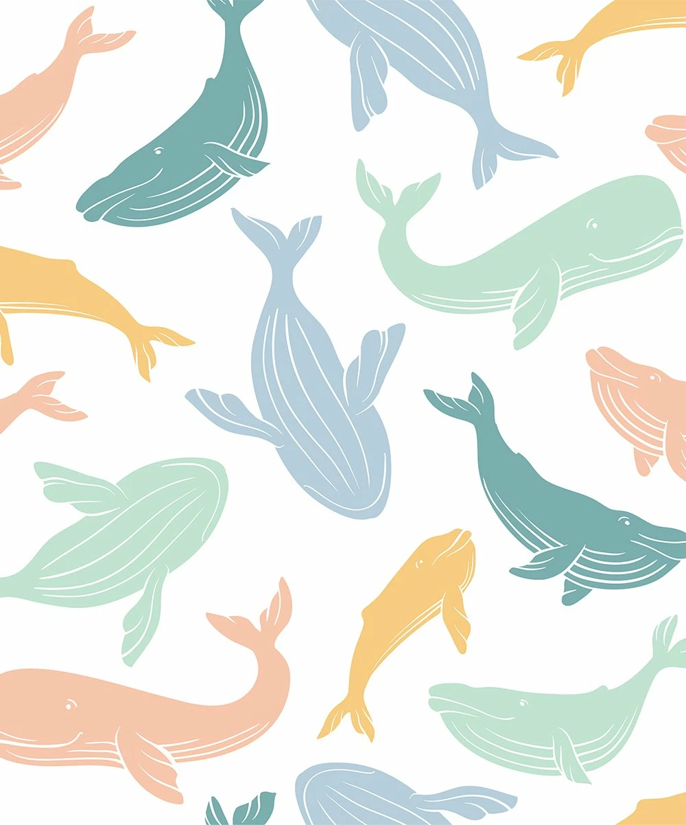 Buy βοΈ Millie & Maxx Pale Blue & White Whales Long-Sleeve Rashguard Set - Toddler & Boys For Kids π 3 Buy βοΈ Millie & Maxx Pale Blue & White Whales Long-Sleeve Rashguard Set - Toddler & Boys For Kids π - Image 3