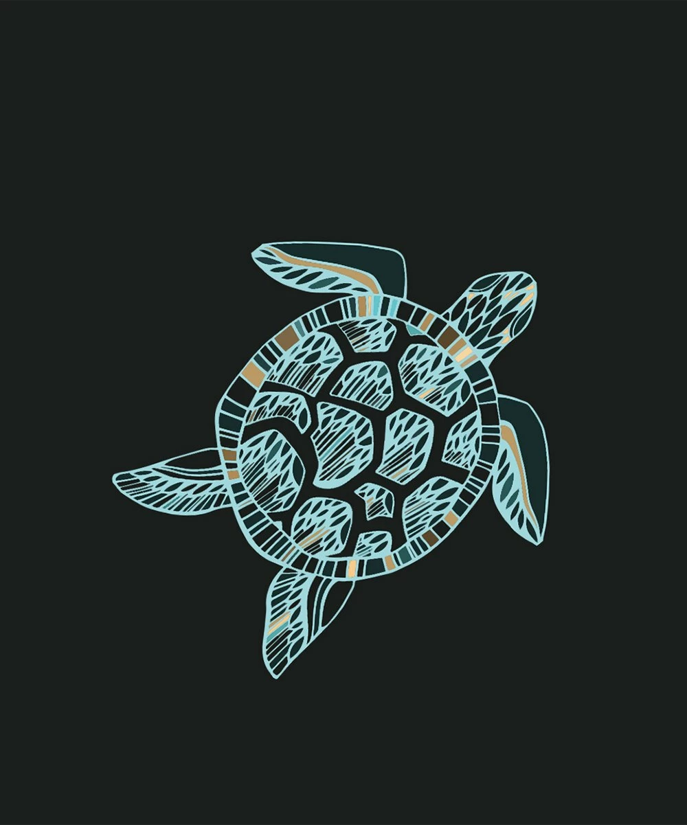 Best Pirce β€οΈ Millie & Maxx Midnight & Mint Sea Turtle Stripe Short-Sleeve Rashguard Set - Infant, Toddler & Boys For Kids 𧨠2 Best Pirce β€οΈ Millie & Maxx Midnight & Mint Sea Turtle Stripe Short-Sleeve Rashguard Set - Infant, Toddler & Boys For Kids 𧨠- Image 2