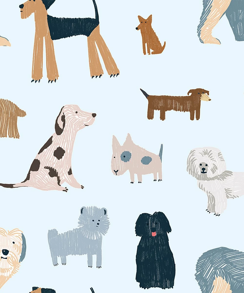 Best Pirce π Millie & Maxx Ice Blue π Doggie π Dog Swim Trunks - Infant, Toddler & Boys For Kids π 2 Best Pirce π Millie & Maxx Ice Blue π Doggie π Dog Swim Trunks - Infant, Toddler & Boys For Kids π - Image 2