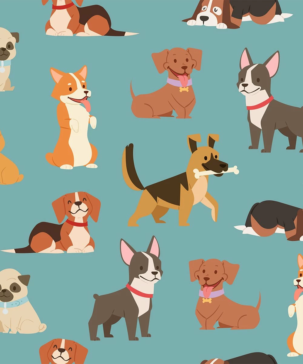 Buy 👏 Millie Loves Lily Nile Blue Raglan Tee & 🦮 Dog & Bone Leggings - Infant, Toddler & 👧 Girls For Kids 👏 3 Buy 👏 Millie Loves Lily Nile Blue Raglan Tee & 🦮 Dog & Bone Leggings - Infant, Toddler & 👧 Girls For Kids 👏 - Image 3