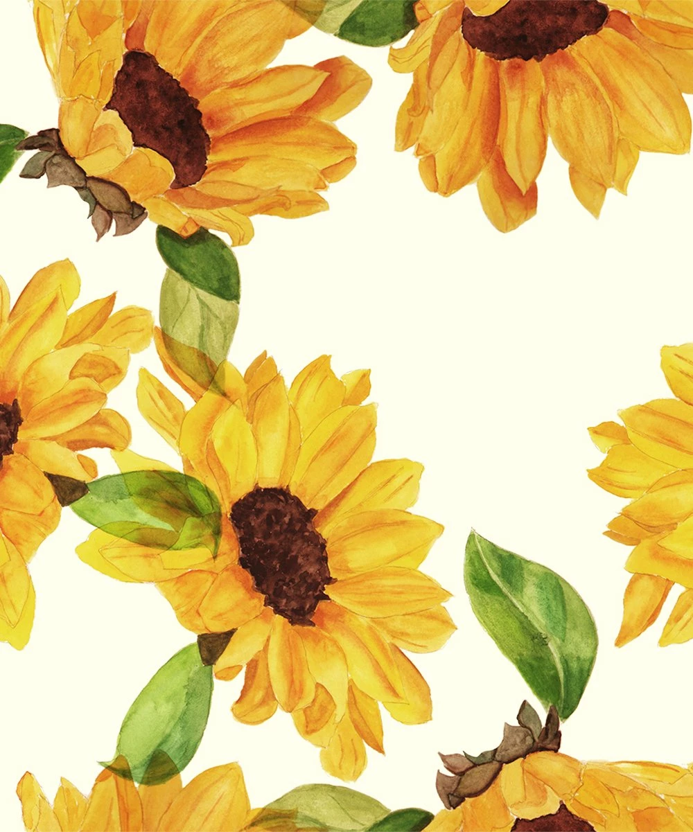 Flash Sale β€οΈ Millie Loves Lily Marigold Ruffle-Accent Tank & Cream Sun Flower Leggings - π§ Girls For Kids βοΈ 3 Flash Sale β€οΈ Millie Loves Lily Marigold Ruffle-Accent Tank & Cream Sun Flower Leggings - π§ Girls For Kids βοΈ - Image 3